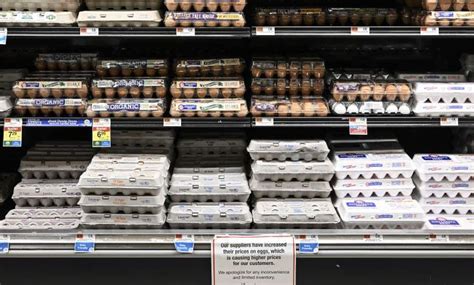 Wholesale egg prices collapsed - The price for wholesale eggs dropped dramatically in early February, per CNBC. According to Urner Barry, a market research firm focused on things like meat, eggs, and seafood, the price...